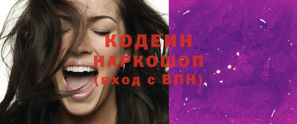 хмурый Шали