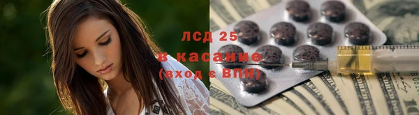 ПСИЛОЦИБИНОВЫЕ ГРИБЫ Новозыбков