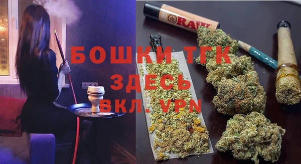 ПСИЛОЦИБИНОВЫЕ ГРИБЫ Новозыбков
