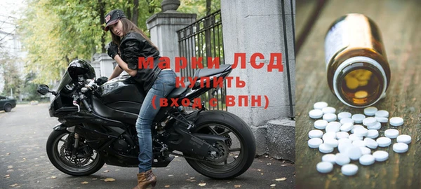 ПСИЛОЦИБИНОВЫЕ ГРИБЫ Новозыбков
