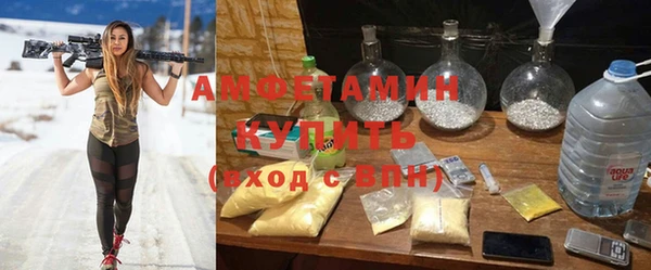 ПСИЛОЦИБИНОВЫЕ ГРИБЫ Новозыбков
