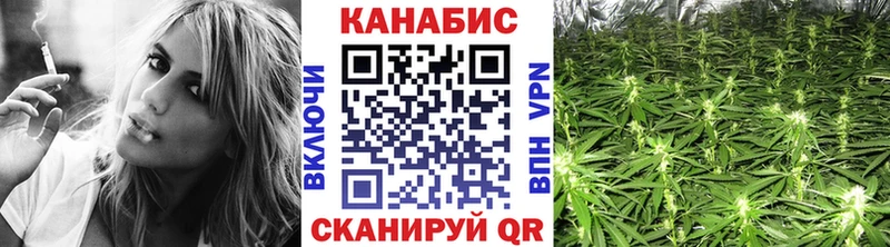 сколько стоит  Козьмодемьянск  Конопля ГИДРОПОН 